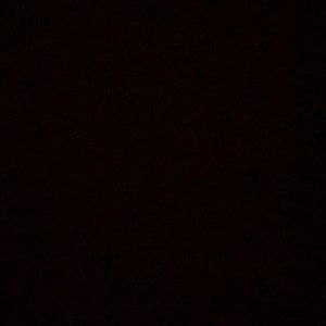 Meet your Posher, Carl